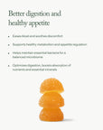 Organic Digestive Health Nano Jellies