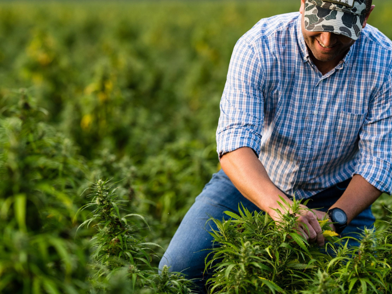 The Environmental Power of Hemp: Farming with Purpose and Impact