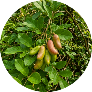 Organic 5-HTP