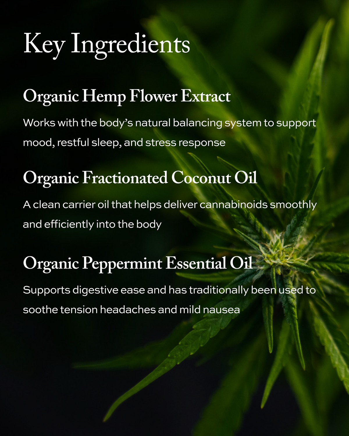 Organic Full Spectrum Tinctures – Green Compass