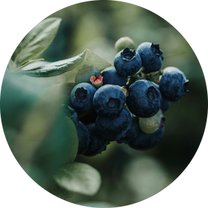 Organic Blueberry Juice