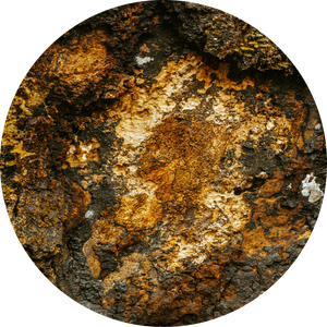 Organic Chaga