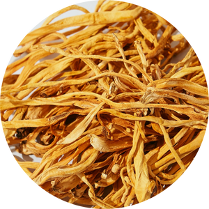 Organic Cordyceps Militaris