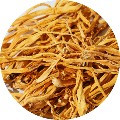Organic Cordyceps Militaris