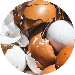 Eggshell Collagen