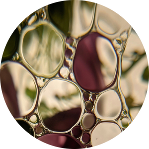 Organic Fractionated Coconut Oil 