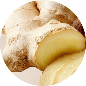 Organic Ginger Root