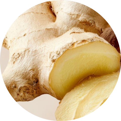 Organic Ginger Root