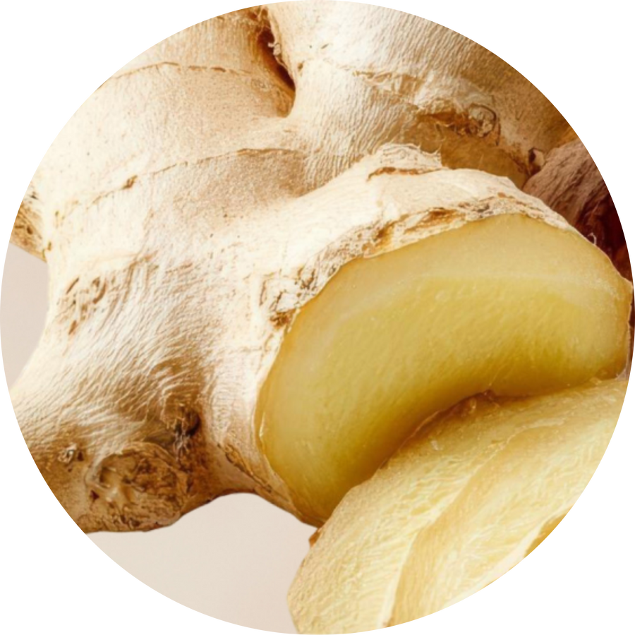 Organic Ginger Root