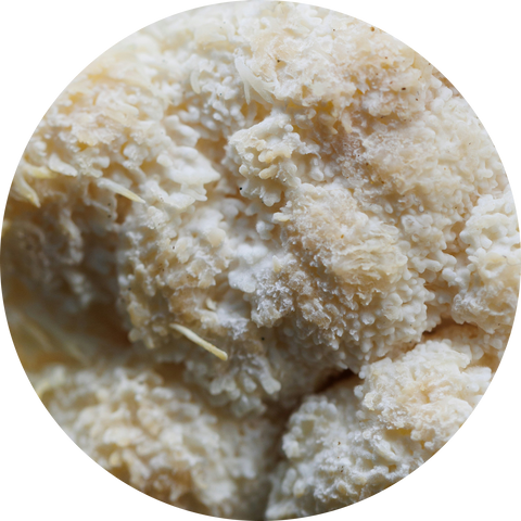 Organic Lion's Mane