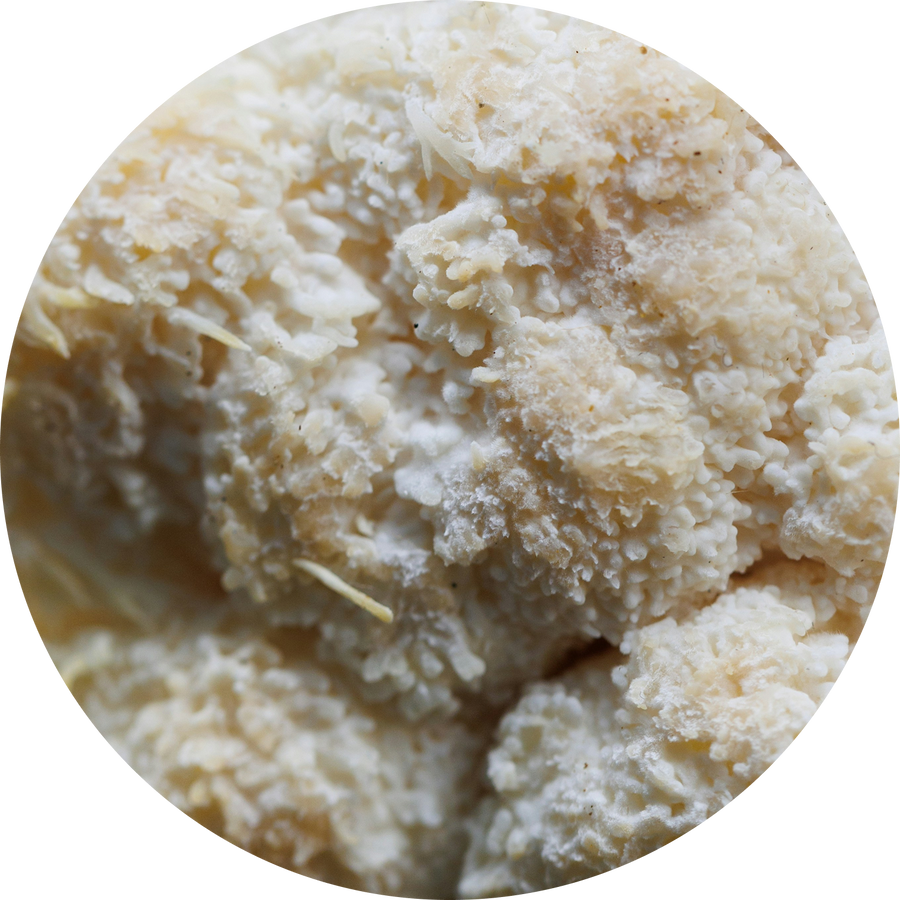 Organic Lion's Mane