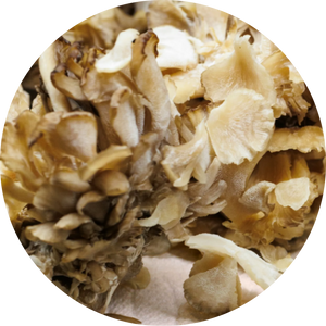 Organic Maitake