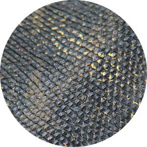 Marine Collagen