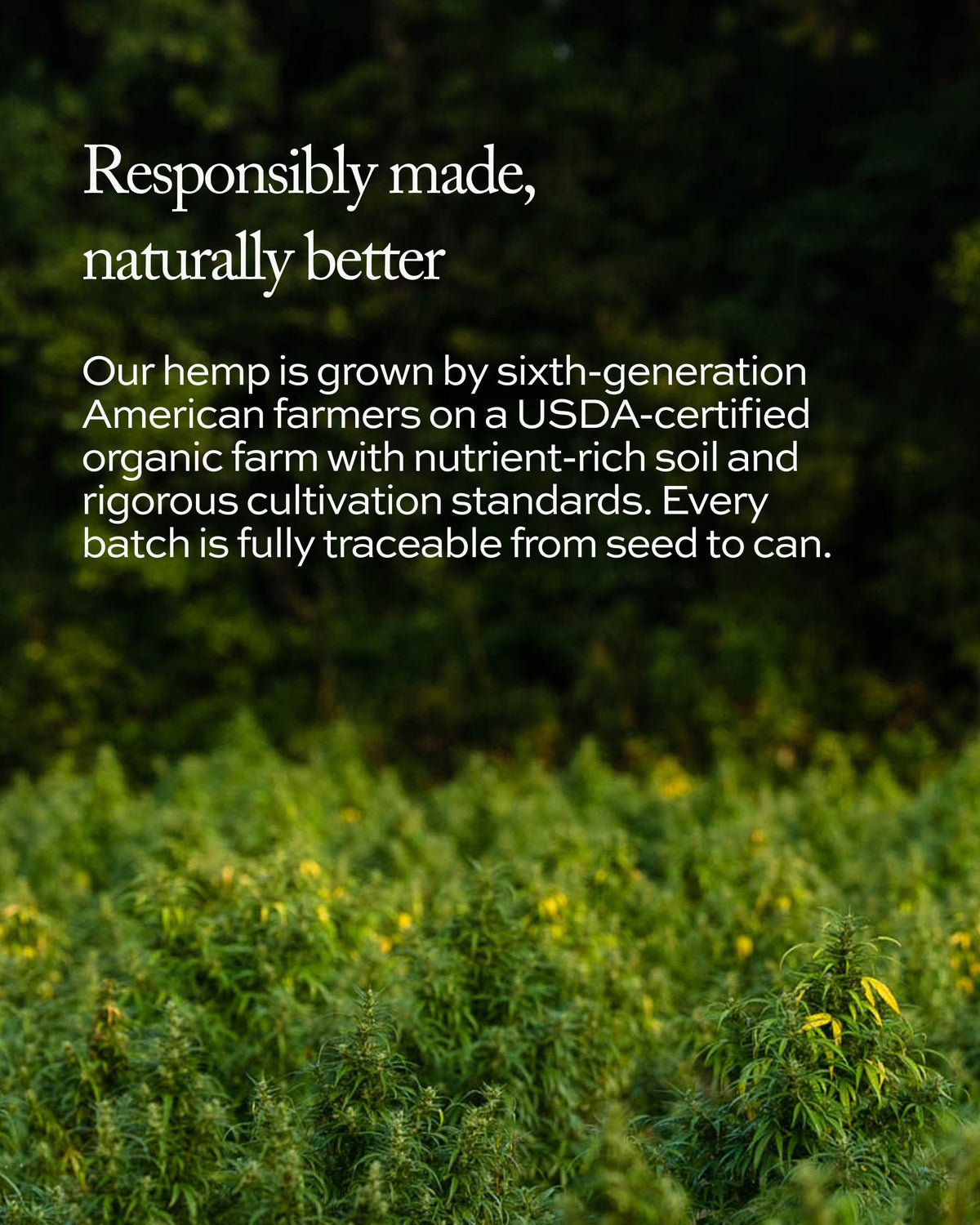 Organic Her CBDA Nano Jellies