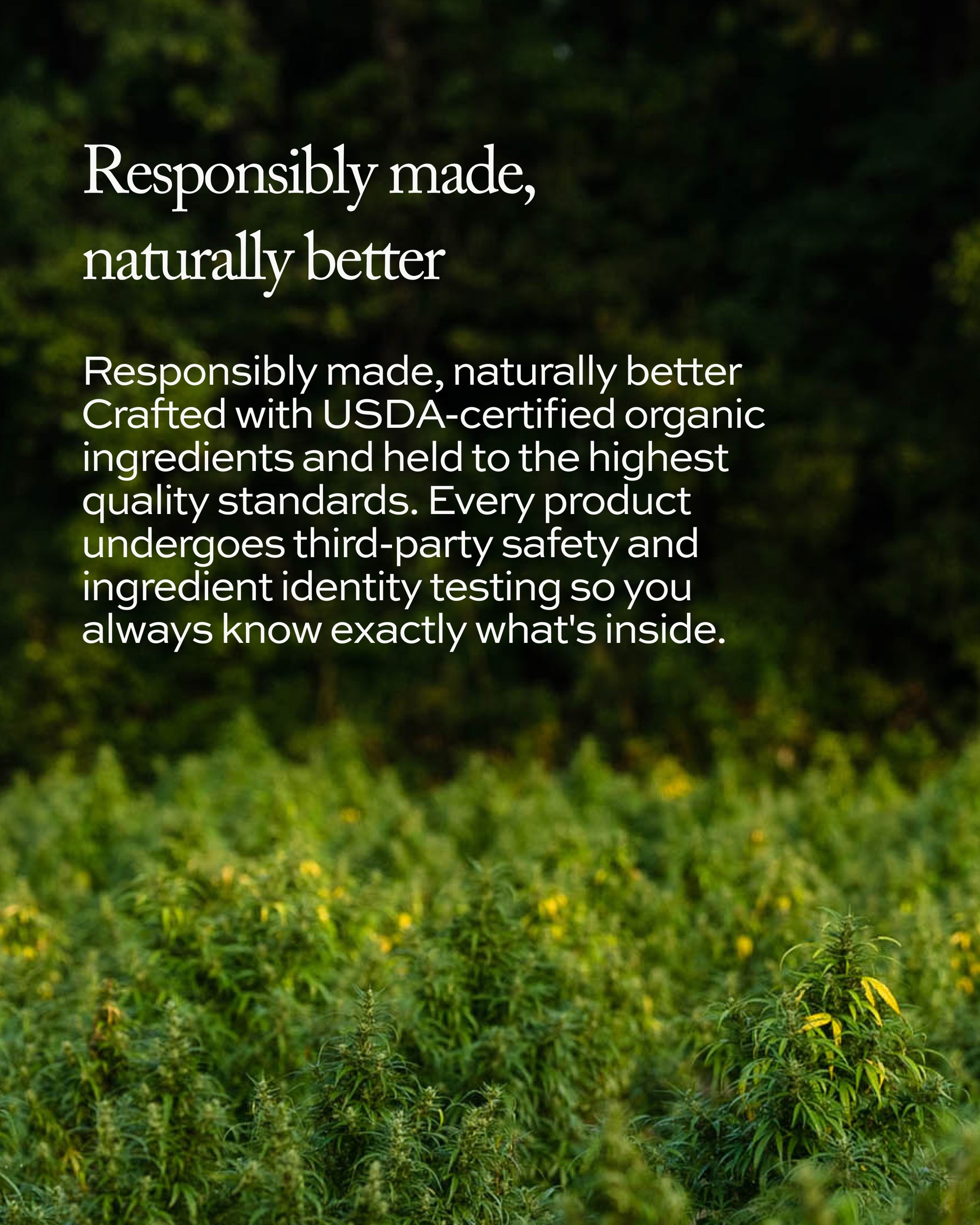 Organic Immune Bloom