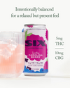 SIX Sparkling Variety Collection – 12 Pack