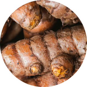 Organic Turmeric